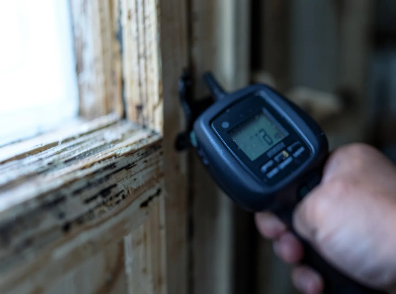 Moisture Inspection And Documentation in Charlotte, VT